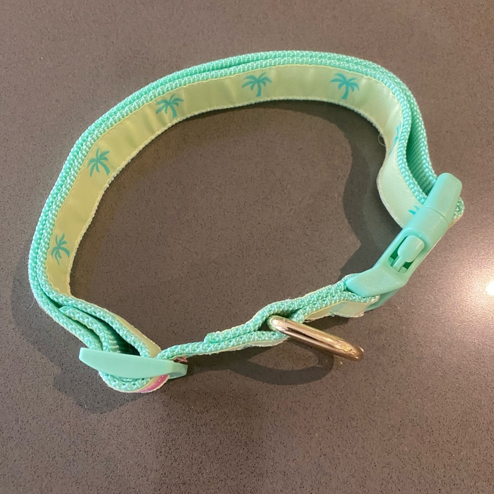 Stoney Clover Lane Mint Green Dog Collar Sz M